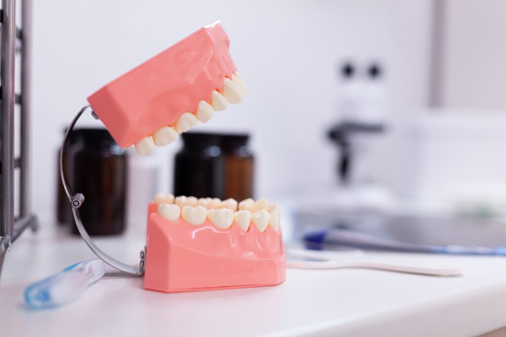 prótesis dental